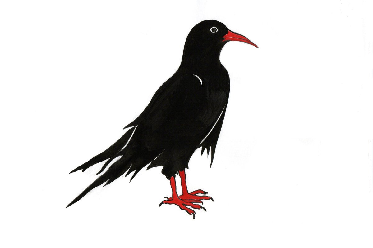 SoniaOverall's tweet image. Morning! Today&apos;s #DistanceDrift is live in Canterbury @TykePsychoGeog. Taking our cue from the #4wcop2024 logo, we&apos;re going bird spotting. Wherever you wander, indoors or out, seek all things avian. Interpret freely; share finds as you go or at the end. Bonus points for choughs!