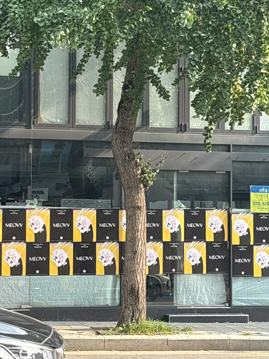 look what i just found in hongdae! ❤️