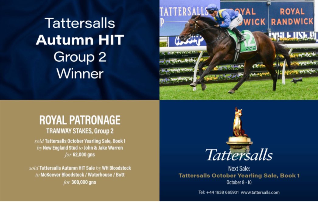 TDN (@thetdn) on Twitter photo 🥇ROYAL PATRONAGE won the
TRAMWAY STAKES, Group 2
Sold <a href="/Tattersalls1766/">Tattersalls</a> October Yearling Sale, Book 1 by New England Stud to John & Jake Warren
Also sold at Tattersalls Autumn HIT Sale by WH Bloodstock to McKeever Bloodstock / Waterhouse / Bott 🥇ROYAL PATRONAGE won the
TRAMWAY STAKES, Group 2
Sold <a href="/Tattersalls1766/">Tattersalls</a> October Yearling Sale, Book 1 by New England Stud to John & Jake Warren
Also sold at Tattersalls Autumn HIT Sale by WH Bloodstock to McKeever Bloodstock / Waterhouse / Bott
