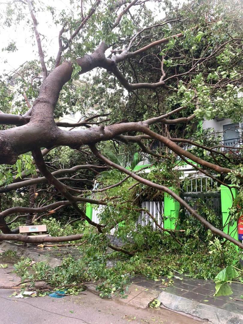 Nga Pham tweet media