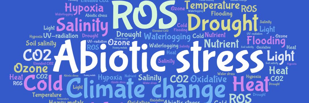 Abiotic stress in plants (Green Survivors) (@abioticstress) on Twitter photo Calling all plant stress #biologists & #breeders🌱🌿
Let's connect & amplify your work
Follow & #tag us in your posts on stress tolerance & sustainable #agriculture. We'll share & promote your research, innovations & success stories
#PlantScience <a href="/CropGlobal/">Global Sustainable Agriculture & Environment</a> <a href="/Alex_Verbeek/">Alexander Verbeek 🌍</a> Calling all plant stress #biologists & #breeders🌱🌿
Let's connect & amplify your work
Follow & #tag us in your posts on stress tolerance & sustainable #agriculture. We'll share & promote your research, innovations & success stories
#PlantScience <a href="/CropGlobal/">Global Sustainable Agriculture & Environment</a> <a href="/Alex_Verbeek/">Alexander Verbeek 🌍</a>