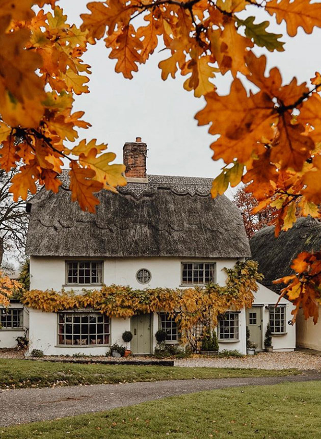 Victoria Magazine tweet media