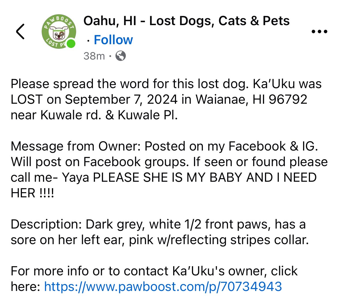 nekachoo's tweet photo. 🗣️🗣️ Peeps on the west side!! Please help find my cousin’s dog!

https://t.co/N2h6d5pxcL

 #waianae #lostdog #oahu https://t.co/5Hrd3yesBc