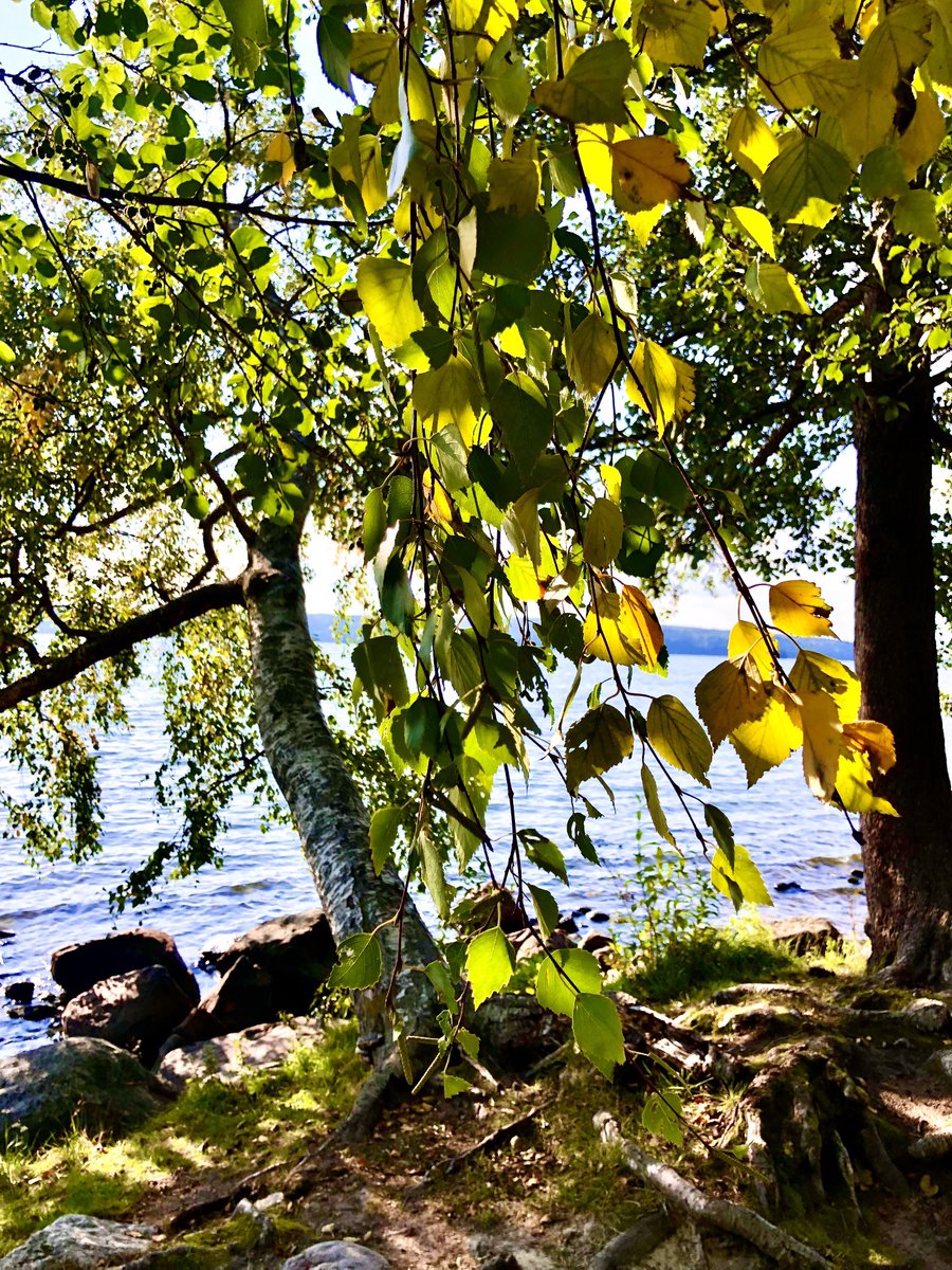 helip_j's tweet photo. Lupsakkaa pyhäpäivää ystävät rakkaat 🍃 Eletään tämä päivä kerrallaan kun huomisestahan emme vielä tiedä 😊 #Syyskuu #Sebtember #Sunnuntai #Sunday 🧡💚💜💙🤍 https://t.co/q1mjt8zXZa