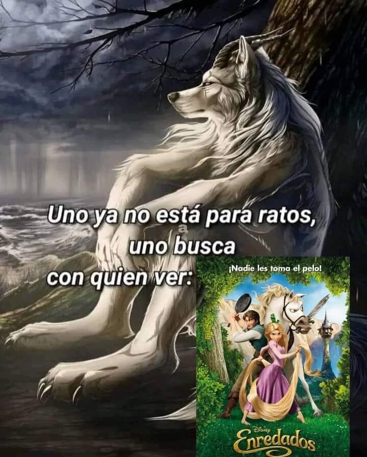 triste y con ganas de morirme ☹︎ (@cxrrly) on Twitter photo 