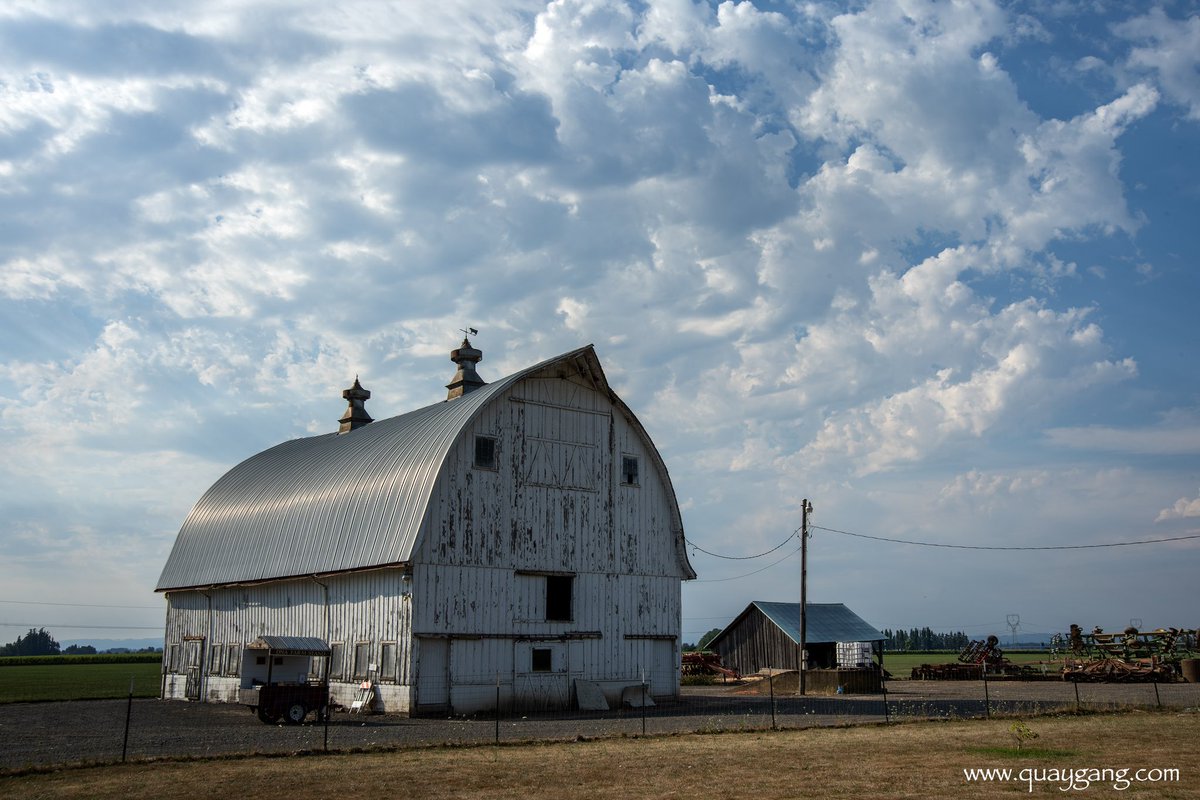 quaygang's tweet photo. “White Barn, Marquam, Oregon.”

©2024 Gary L. Quay

The clouds were astoundng, and the barn seeemed the best thing to put in front of them.

Camera: Nikon D810
Lens: 24-84mm Nikon

#pacificnorthwest #willamettevalley #garyquay #oregon  #viewfromhere #traveloregon #nikon #barn https://t.co/9t6ufxnBlB