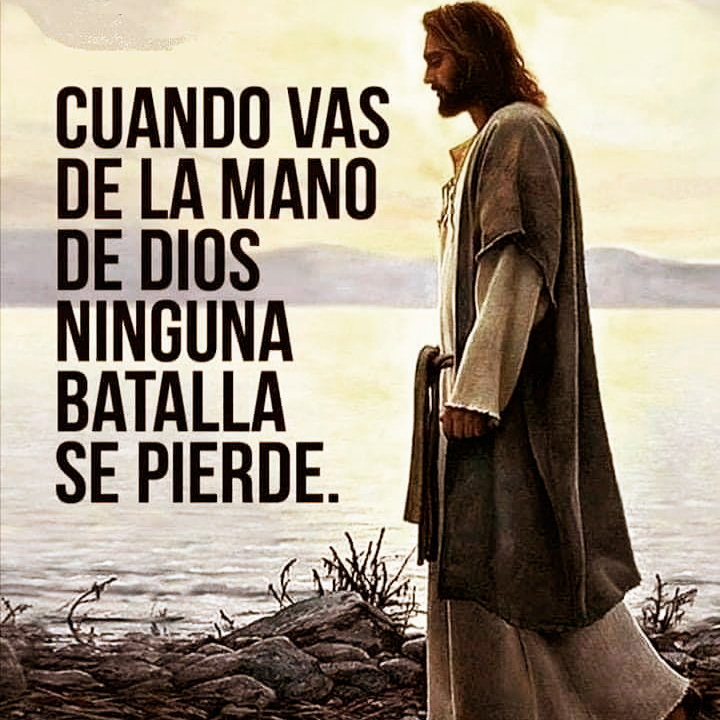 Pildorasdefe tweet media