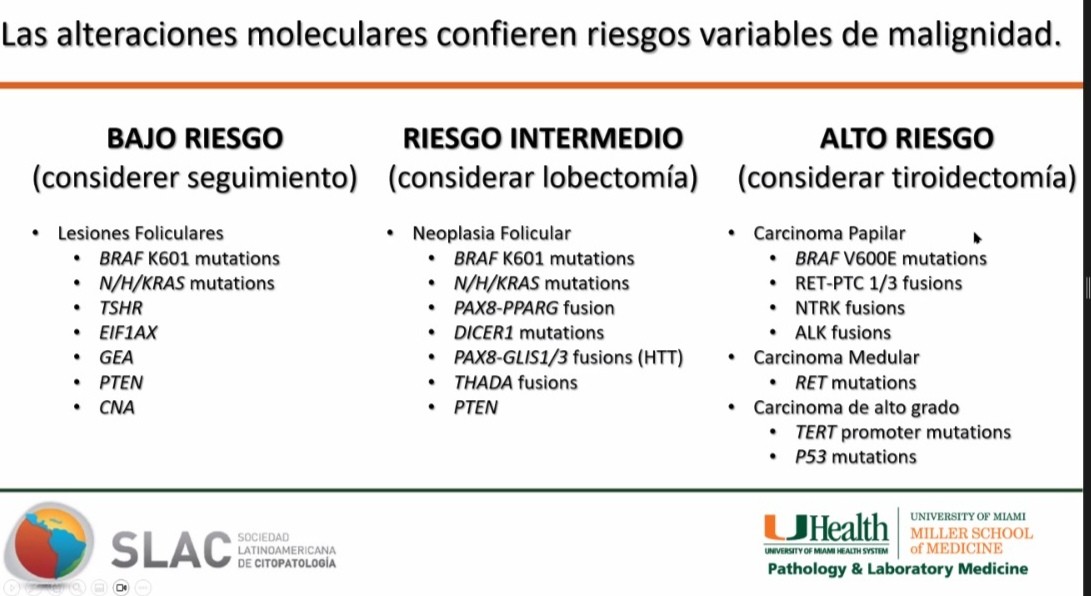 Milagros Abad-Licham (@milyabadli) on Twitter photo Thanks to the wonderful patologhy team of UMiami Miller SOM for their excellent presentations and generosity in sharing their experience with Latín America. Thyroid Cytology :from morphology to molecular diagnosis <a href="/MerceJorda1/">Merce Jorda</a> <a href="/citologiala/">citologiala</a> <a href="/JaylouVelez/">Jaylou M. Velez Torres, MD 🇵🇷🇺🇸</a> <a href="/CarmenGomezMD/">Carmen Gomez-Fernandez, MD</a> <a href="/drruizcor/">Roberto Ruiz-Cordero</a> Thanks to the wonderful patologhy team of UMiami Miller SOM for their excellent presentations and generosity in sharing their experience with Latín America. Thyroid Cytology :from morphology to molecular diagnosis <a href="/MerceJorda1/">Merce Jorda</a> <a href="/citologiala/">citologiala</a> <a href="/JaylouVelez/">Jaylou M. Velez Torres, MD 🇵🇷🇺🇸</a> <a href="/CarmenGomezMD/">Carmen Gomez-Fernandez, MD</a> <a href="/drruizcor/">Roberto Ruiz-Cordero</a>
