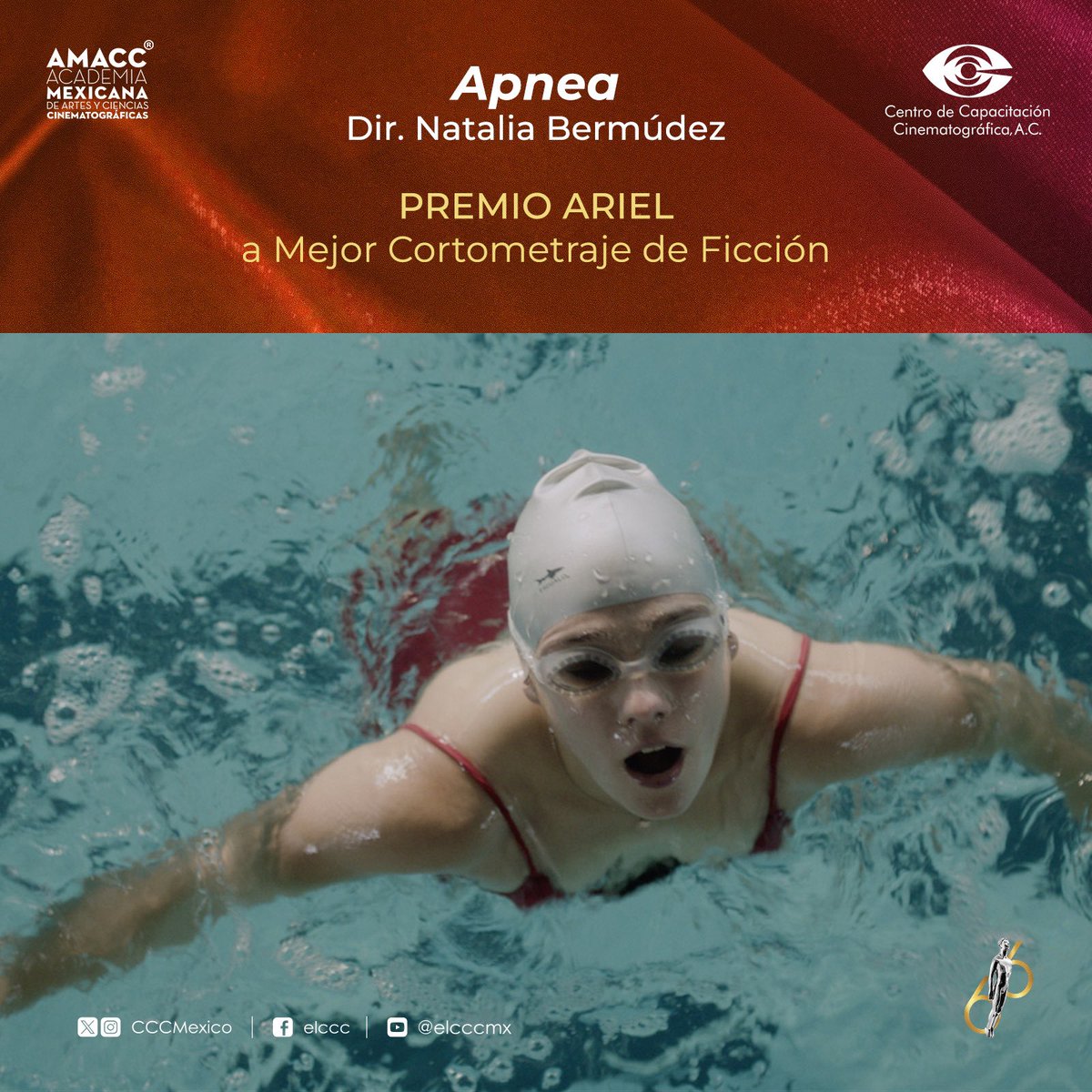¡¡ DOS ARIELES para NATALIA BERMÚDEZ @LaNatBermudez 

APNEA Mejor Cortometraje de Ficción 

NORTE Mejor Cortometraje Documental

¡Felicidades a los equipos!

<a href="/AcademiaCineMx/">AMACC</a>