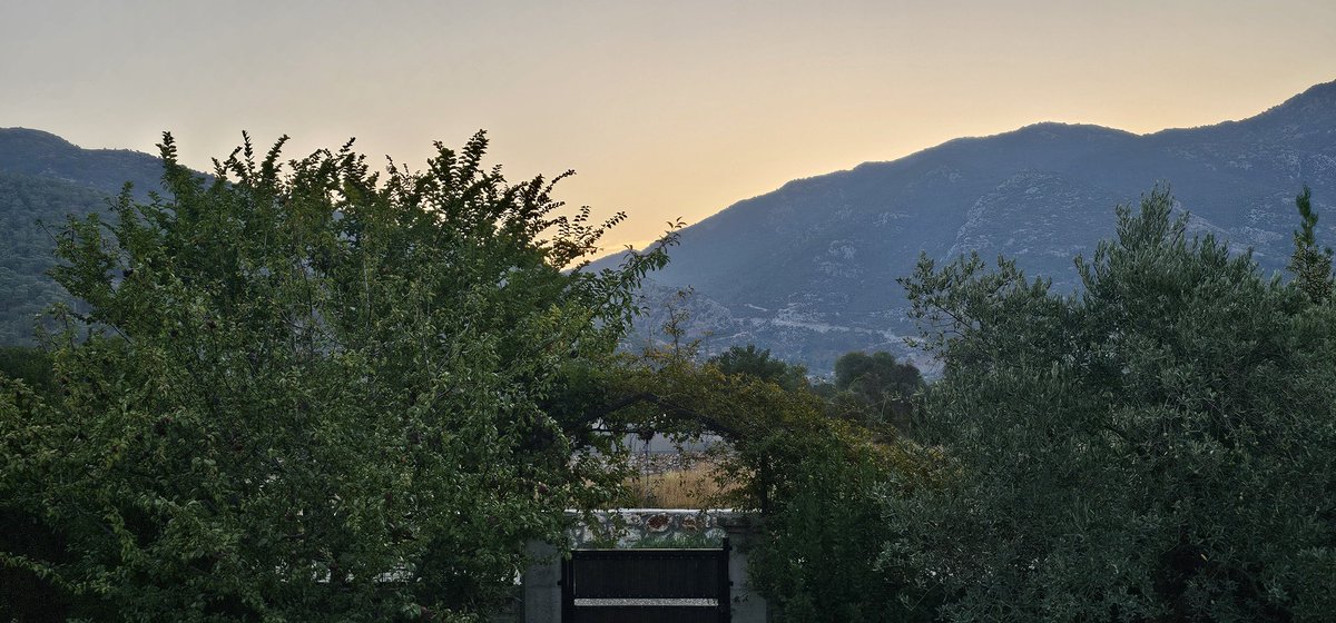 HilliardVildan's tweet photo. Günaydın ❤️ 
Good morning ❤️ https://t.co/9d3KF5V282