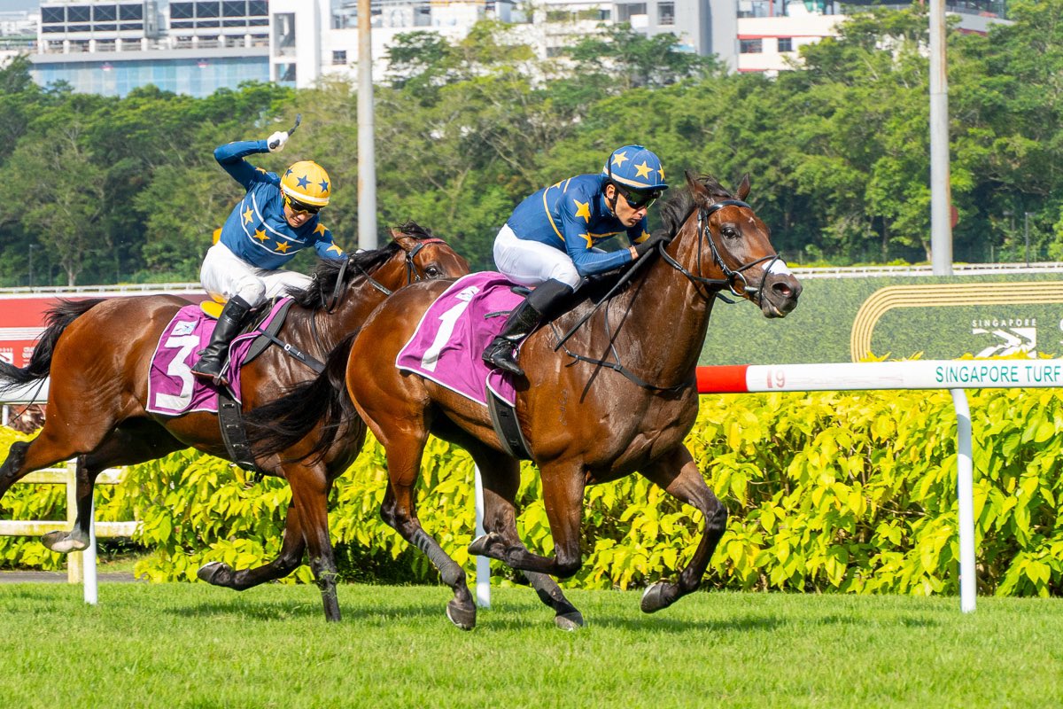 ✌🏼genuine🌟of Singapore racing ran enormous yesterday in the QEll Cup. Both ML &amp; CC rode their heart out. It’s truly a Great Team effort!I can’t say anymore about Kosi that I haven’t said already. A genuine superstar that I’m blessed to have . Salty ran another super race💪🏼
