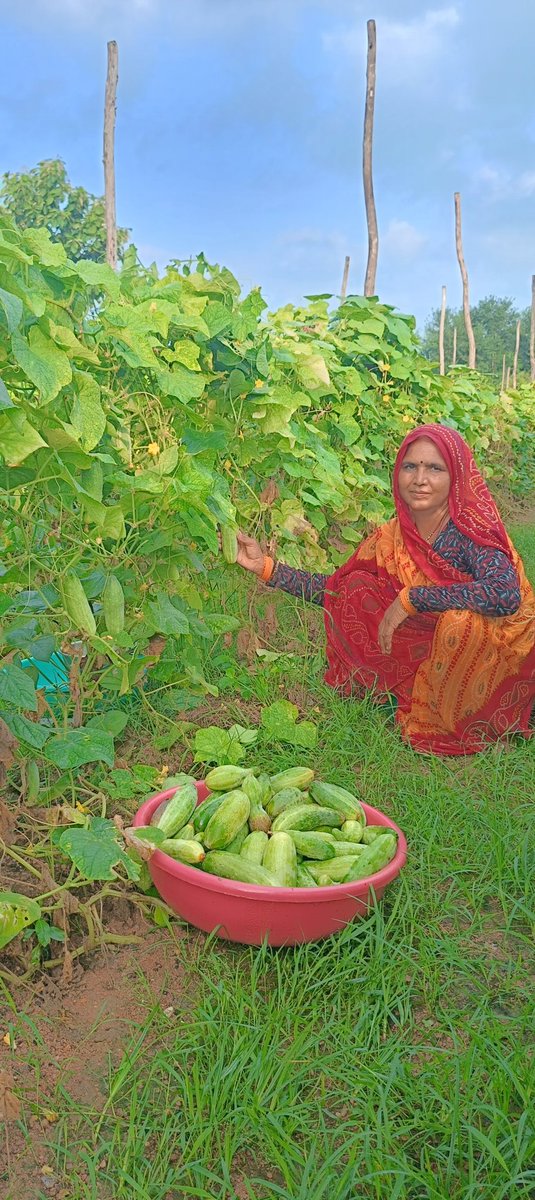 Basant Women FPO (@basantfpo) on Twitter photo #Work4Progress के तहत #LacaixaFoundation के सहयोग से <a href="/ActionAidIndia/">ActionAid Association</a> द्वारा बुन्देलखण्ड के जनपद झाँसी में संचालित समृद्धि परियोजना के तहत महिला उद्यमी बम्पर सब्ज़ी उत्पादन कर रहीं हैं @BasantwomenFPO उनको बेहतर दाम हेतु बाजार उपलब्ध करा रहा है।
<a href="/sndeep/">Sandeep Chachra</a>
<a href="/C9Khalid/">Khalid Chaudhry</a> <a href="/AnuraagJhansi/">Anurag Sharma M.P.</a> #Work4Progress के तहत #LacaixaFoundation के सहयोग से <a href="/ActionAidIndia/">ActionAid Association</a> द्वारा बुन्देलखण्ड के जनपद झाँसी में संचालित समृद्धि परियोजना के तहत महिला उद्यमी बम्पर सब्ज़ी उत्पादन कर रहीं हैं @BasantwomenFPO उनको बेहतर दाम हेतु बाजार उपलब्ध करा रहा है।
<a href="/sndeep/">Sandeep Chachra</a>
<a href="/C9Khalid/">Khalid Chaudhry</a> <a href="/AnuraagJhansi/">Anurag Sharma M.P.</a>