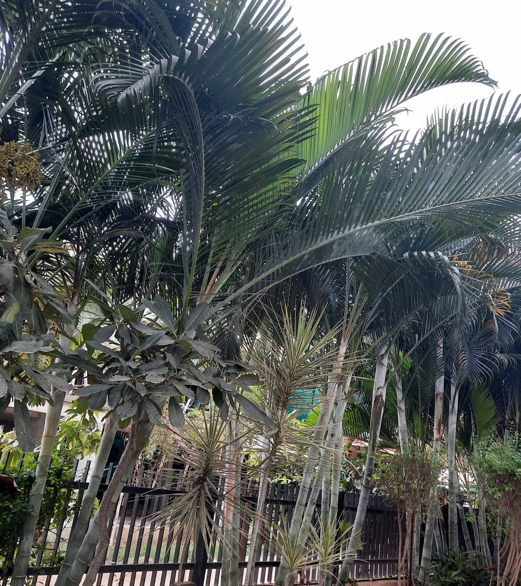 AshutoshMeher9's tweet image. #Misc #photo