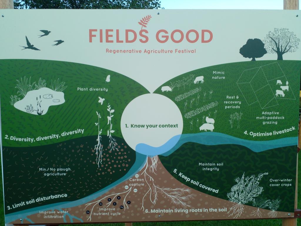 Geraghty_Notill's tweet image. Great day @FieldsGood_ni in Glenarm on regenerative agriculture. Worth the trip north with excellent talks & walks throughout the day in beautiful setting that is The Sheddings. @BaseIreland @UnderstandingAg @NatOrgSkill @SETUAgriculture @soildivil1 @Friesian_man @agriculture_ie