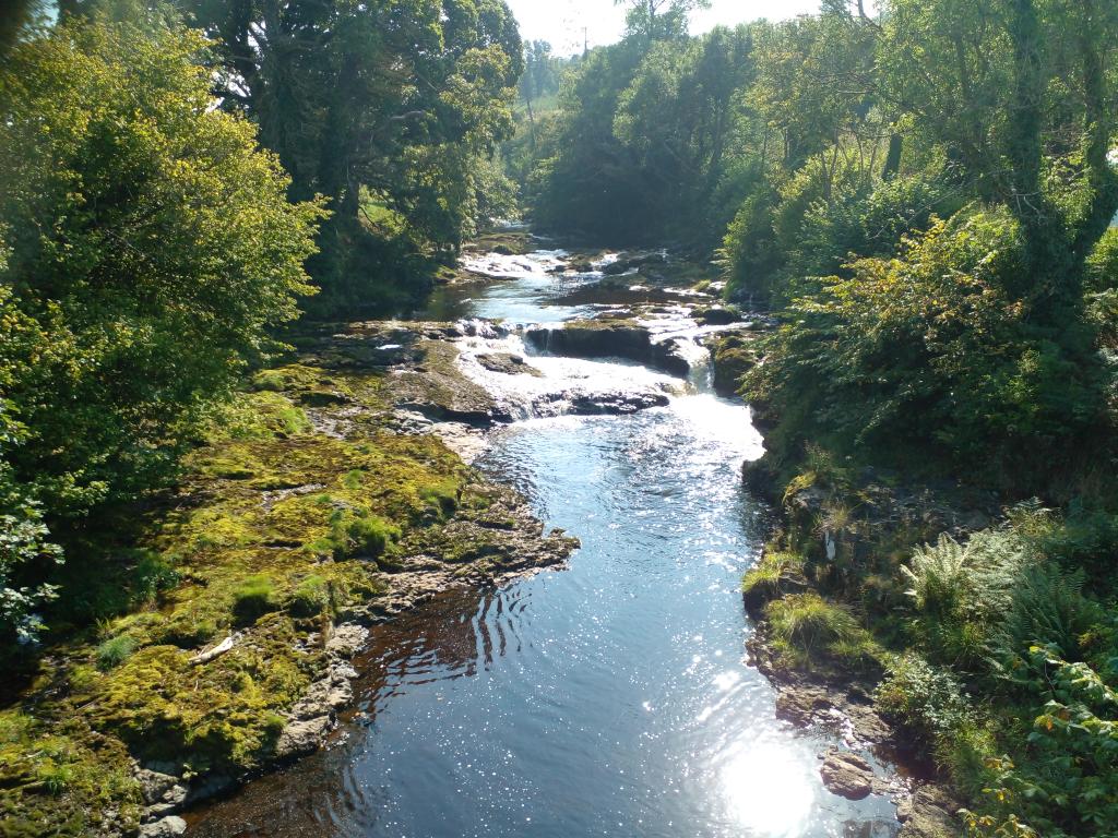 Geraghty_Notill's tweet image. Great day @FieldsGood_ni in Glenarm on regenerative agriculture. Worth the trip north with excellent talks & walks throughout the day in beautiful setting that is The Sheddings. @BaseIreland @UnderstandingAg @NatOrgSkill @SETUAgriculture @soildivil1 @Friesian_man @agriculture_ie