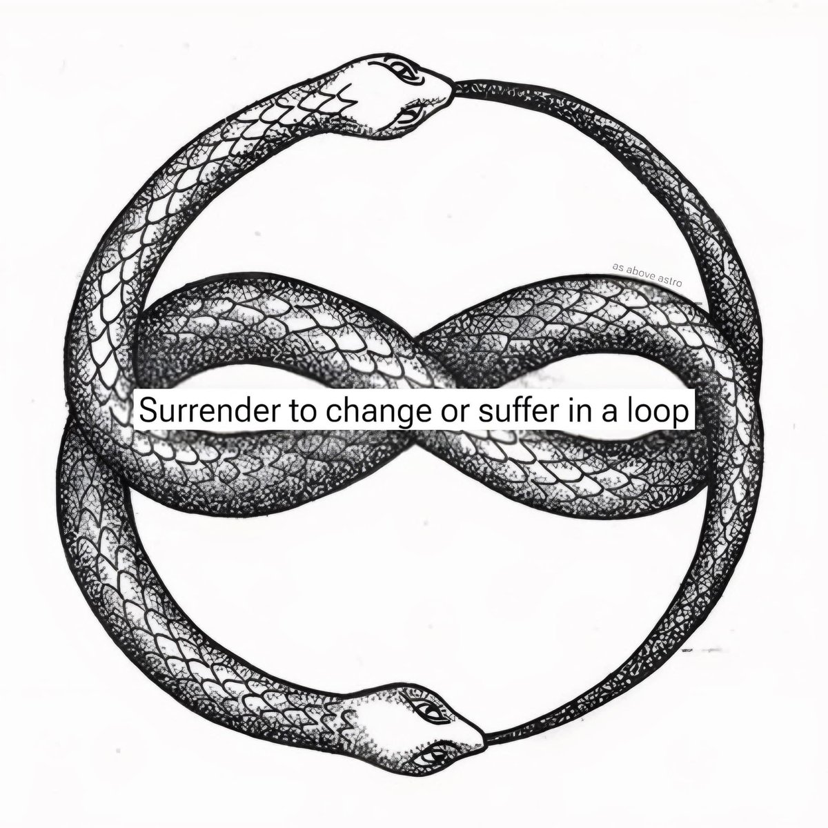 Slootballs's tweet image. 