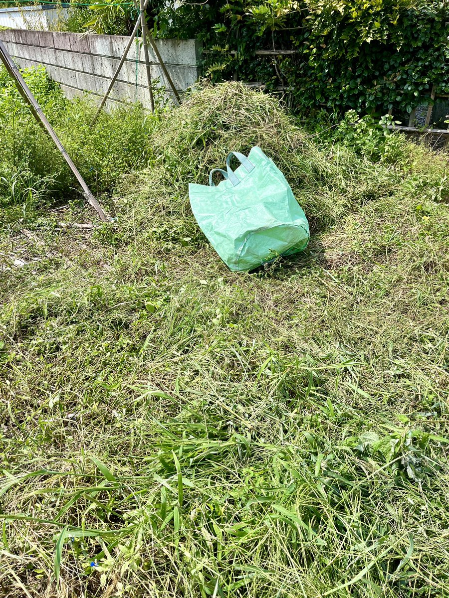 GUGES_99_STUDIO's tweet photo. 秘密基地建造作戦DAY16
実家ヤボ用が完了後はXポイントに移動。雑草刈り作業の続き。うー暑すぎて半日もたない。まだ20%って所かな。ちょい地面が見えてきた。
#GFK_RCCC https://t.co/eQuFQJWi7o