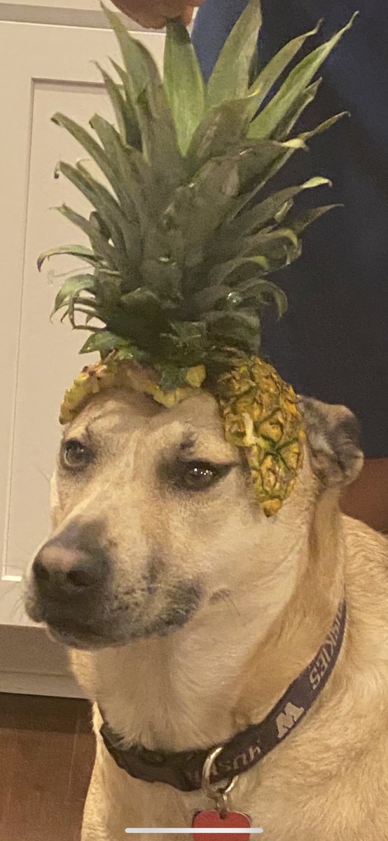 Adam Norbjerg tweet media