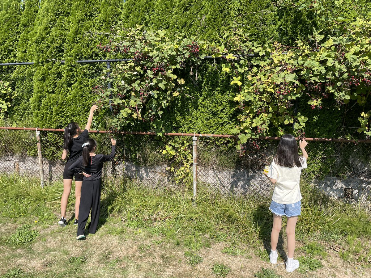 Thompson Elementary tweet media