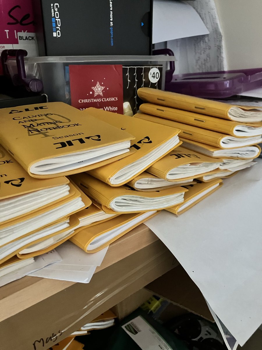 If you know you know..tell me you are a kiwi dairy farmer without telling me…To bin or not to bin🤔🫣.