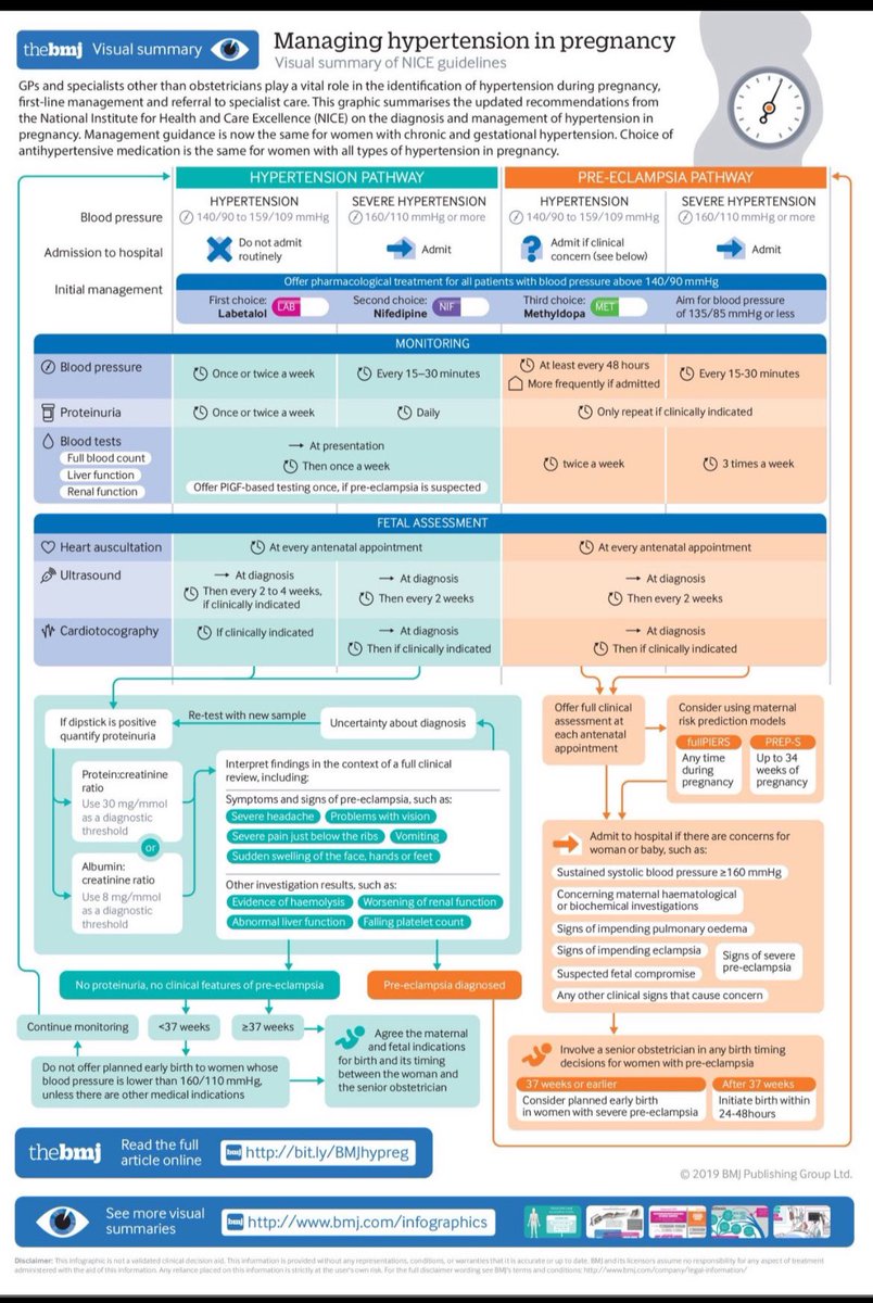 🤰 Manage hypertension in pregnancy

<a href="/bmj_latest/">The BMJ</a>