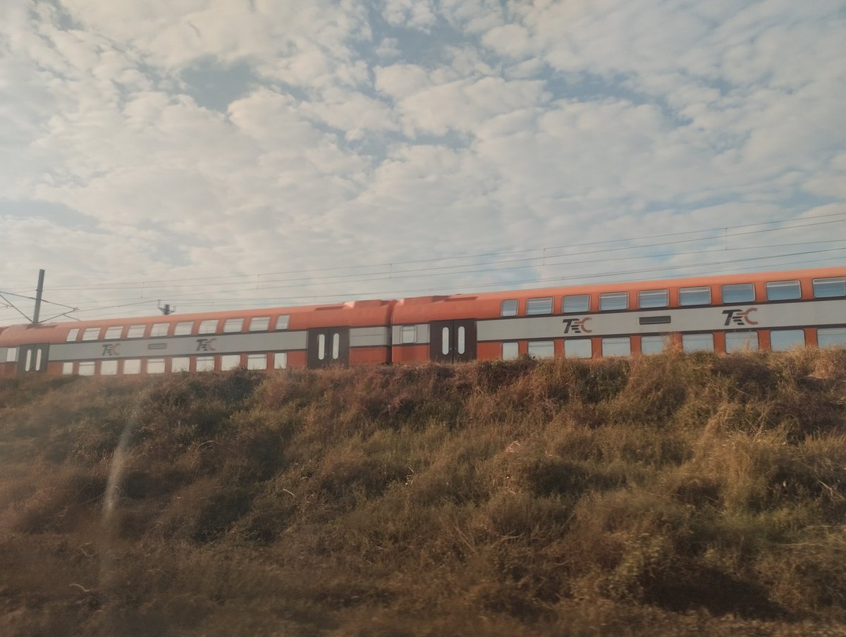 Blanco🤠🏝️⚔️ tweet media