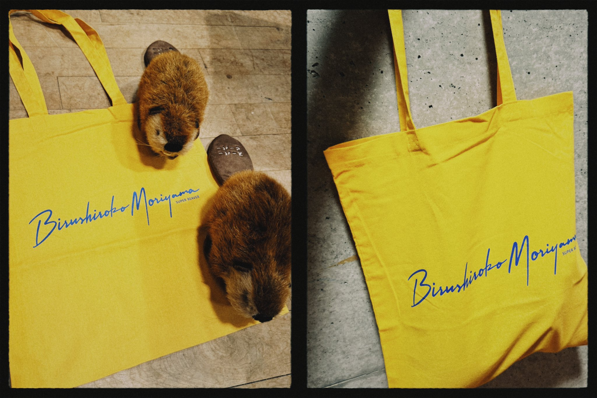 SUPER BEAVER on X: 