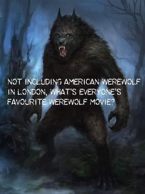 80’s Horror Movies tweet media