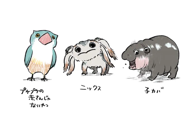 最近タイムラインで見たかわいいもの 