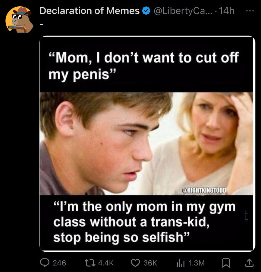 SocDoneLeft's tweet image. 90% of rightist &quot;memes&quot; nowadays are just paranoid fever dreams with no relation to reality