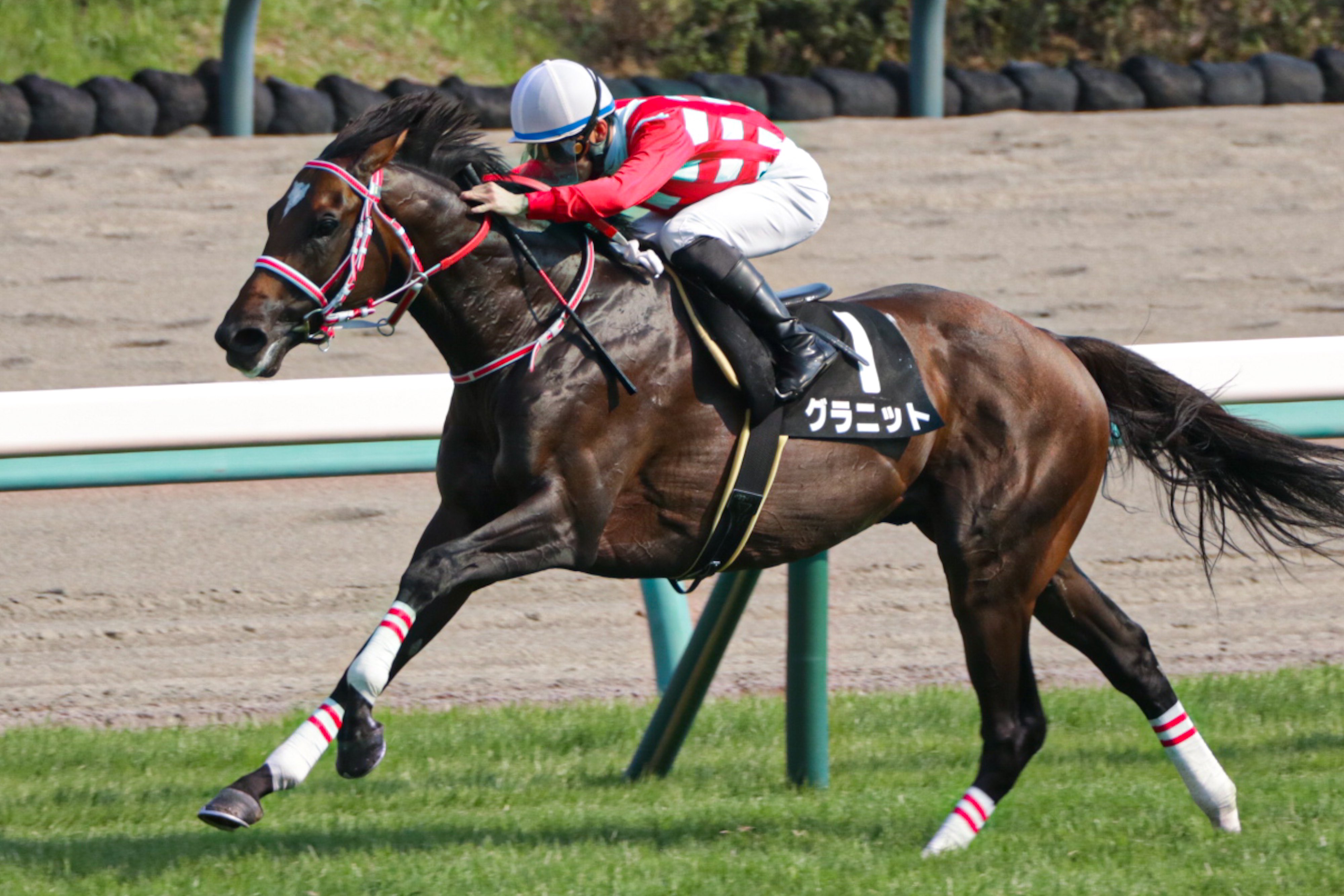 永野猛蔵騎手が引退…スマホ不正使用問題 | 競馬ニュースなら競馬