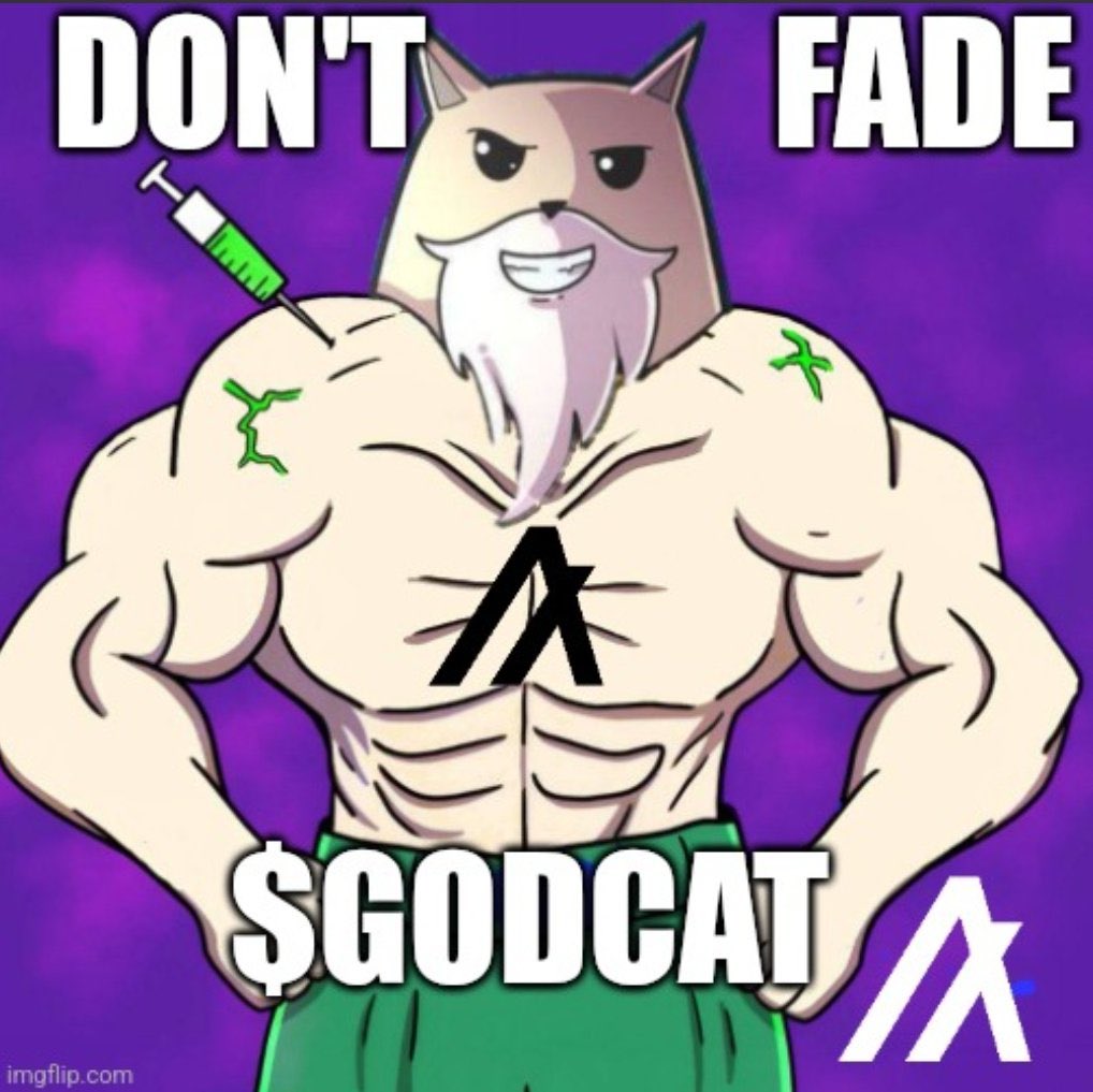 $GODCAT morning dose.