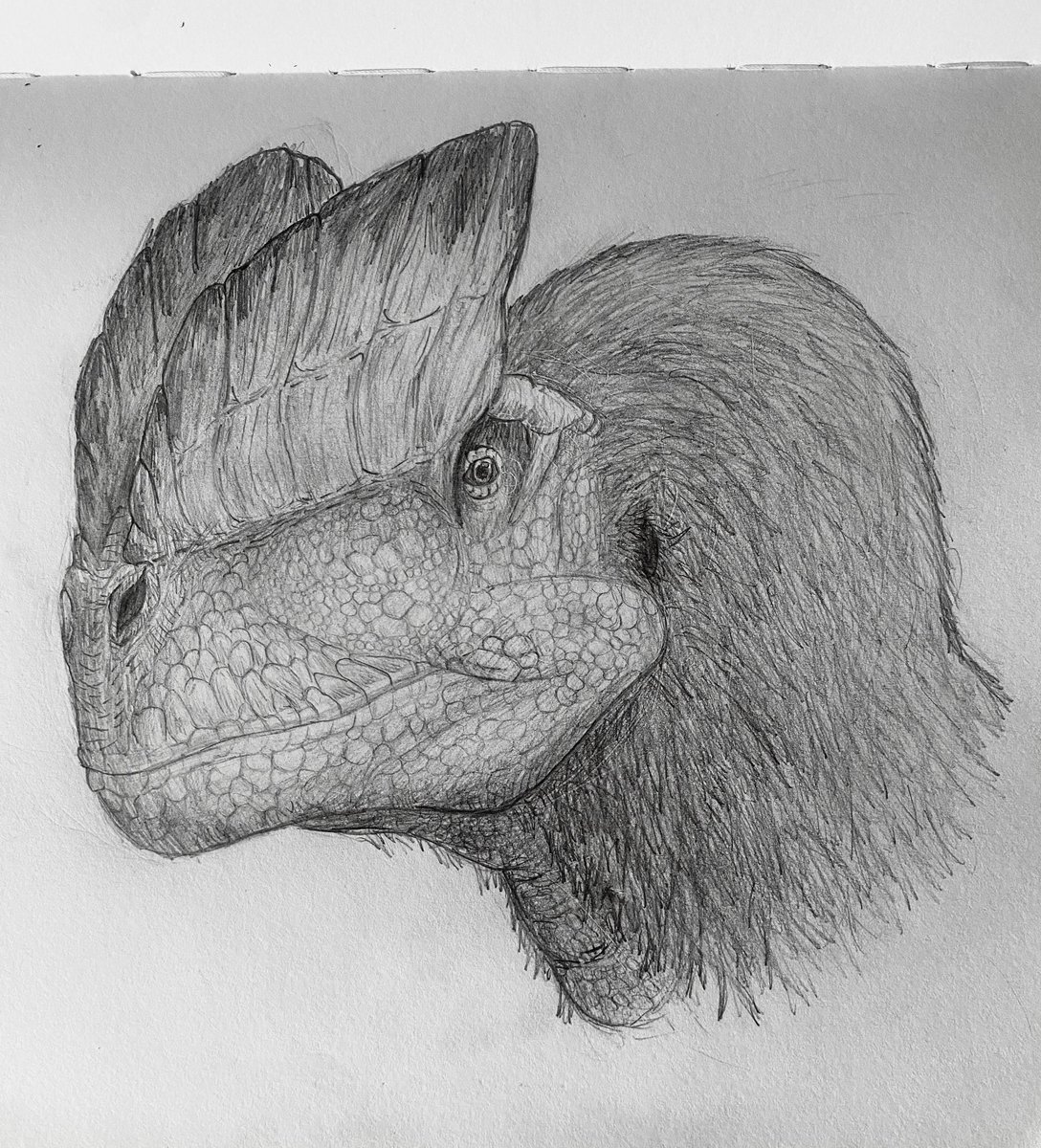 VexingRen tweet media