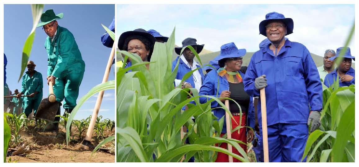 Also one of the reasons Zuma had to fall? 👇🏿