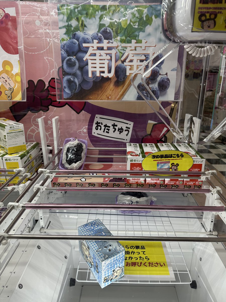 UFOキャッチャーでフルーツをゲット
ブドウ🍇500円桃🍑も500円
メロン🍈は600円でゲット！