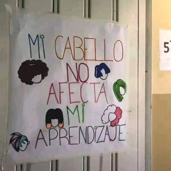 Enséñame de Ciencia tweet media