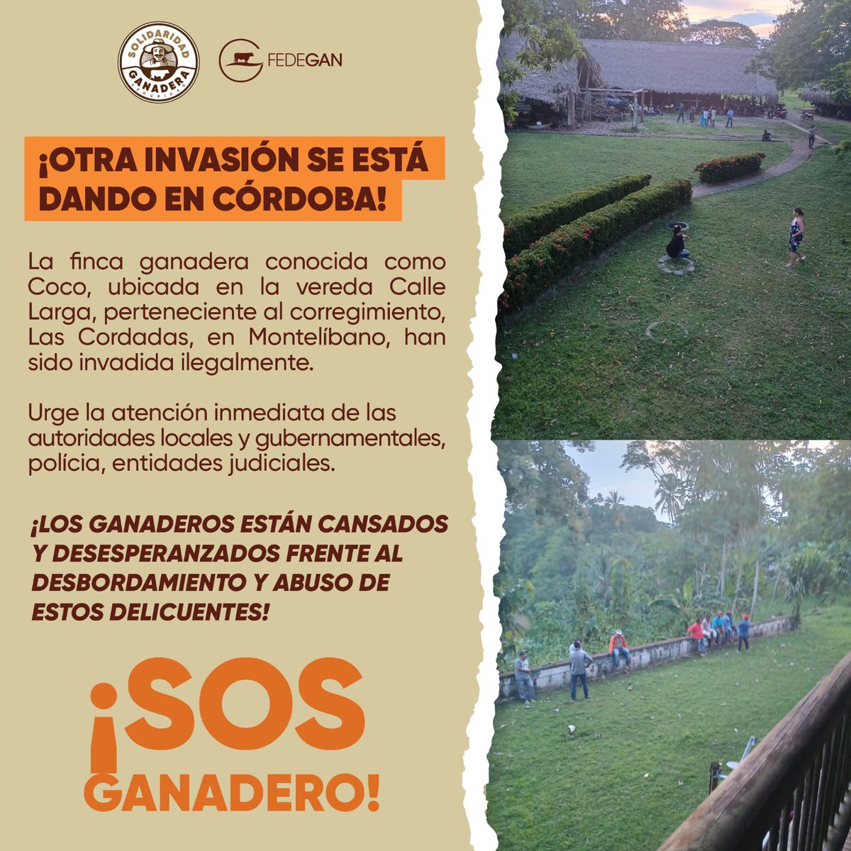 🆘 ¡Otra invasión se está dando en #Córdoba! 🆘

¡La tierra y la ganadería en #Colombia estan amenazadas!

¿Cómo se organizan estos grupos de invasores profesionales? ¿Quién o qué organizaciones están detrás de estas violaciones al derecho de la propiedad privada?

Necesitamos