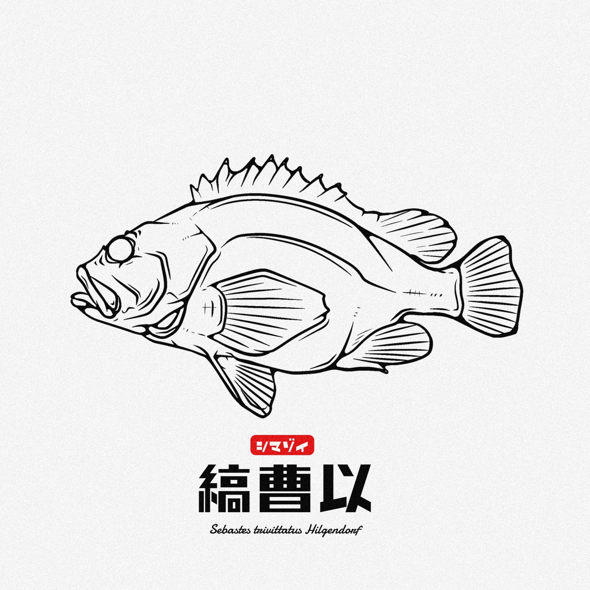 シマゾイ