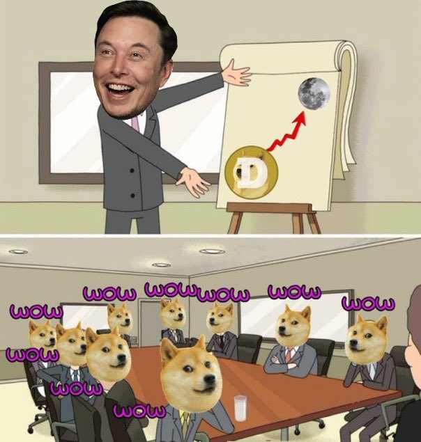 Doge Norway tweet media