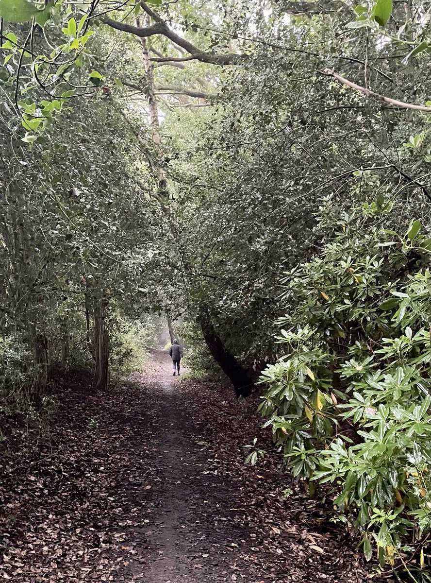 Steven Tones tweet media