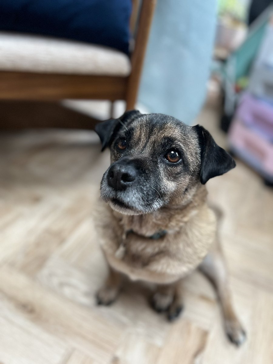 This is what eternal optimism looks like #jug