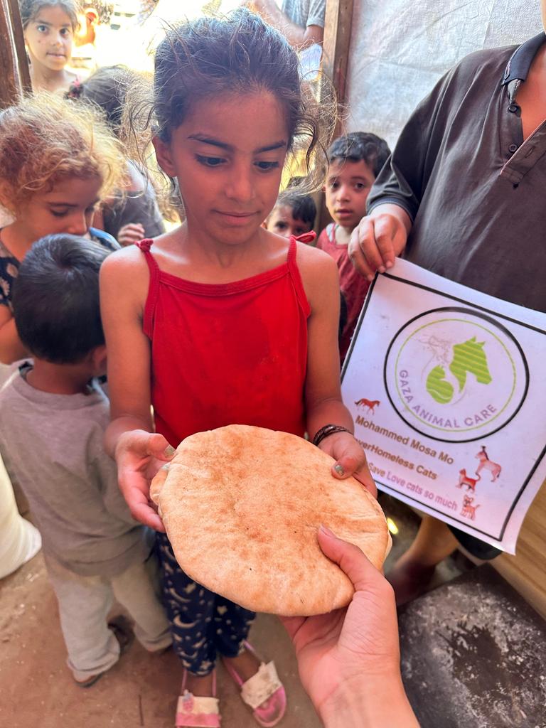 SARAMoh69489245's tweet image. gofundme.com/f/cruelty-free…