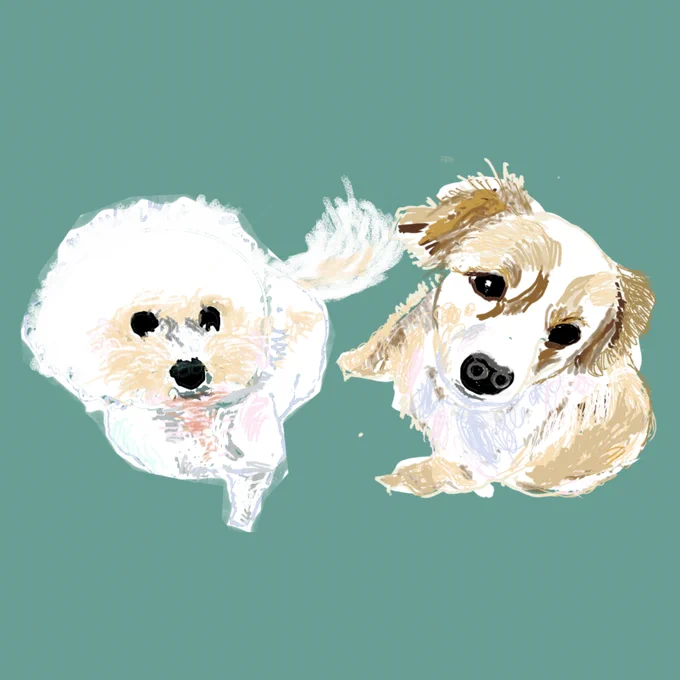 #よみうりカルチャー で担当しておりますデジタルイラストの講座作品、こちらで更新しております! 70代の方も何人もいらっしゃいますが皆さんアプリの使い方を覚えて多様な表現に挑戦しています!ご覧になってください。  