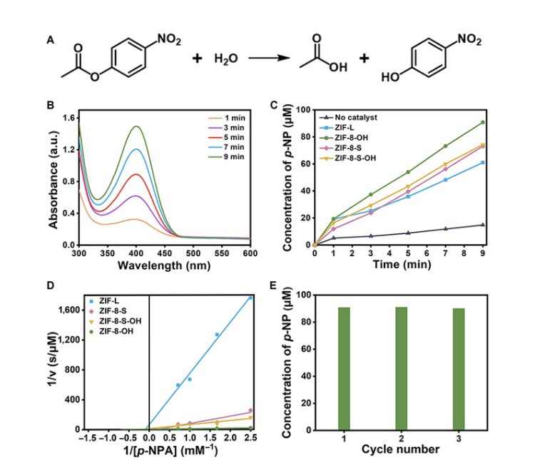 Research_Jrnl's tweet image. A Structural Mimic of Carbonic Anhydrase in Zeolitic #Imidazolate Frameworks via Trans-functionalization for Enhancing #Hydrolytic Activity. Click the link below to read this free, open access article. doi.org/10.34133/resea…