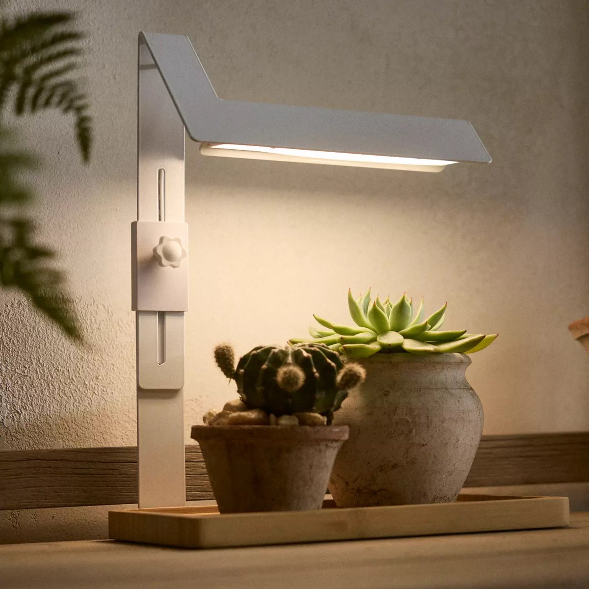 Product Of The Week: A Modern Grow Light with Bamboo Tray dlvr.it/TCyyTj