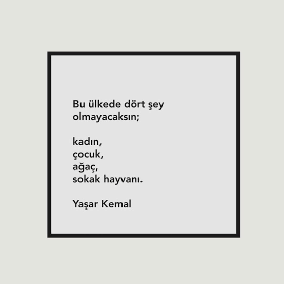 #SONDAKİKA #Narin
#Allahbelanızıversin