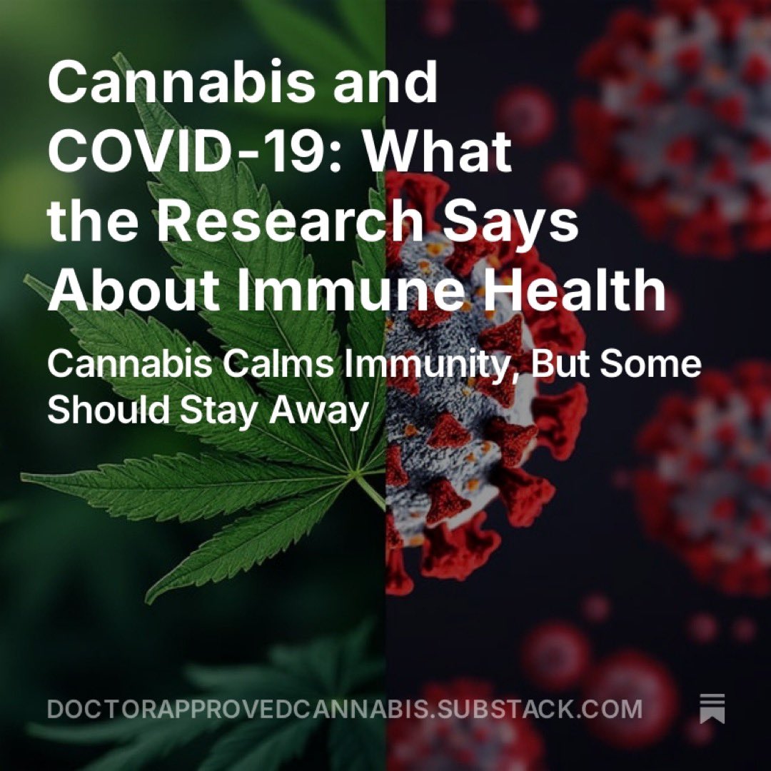 TheIndividuals's tweet photo. A recent study showed that cannabis users might just have an edge when it comes to battling COVID-19.

➕ Less severe infections 🏥: Fewer ended up in the hospital's worst spots.
➕ Lower intubation rates 😮‍💨: Less “tube down your throat” action.
➕ Shorter hospital stays https://t.co/AYMv7b3Eke