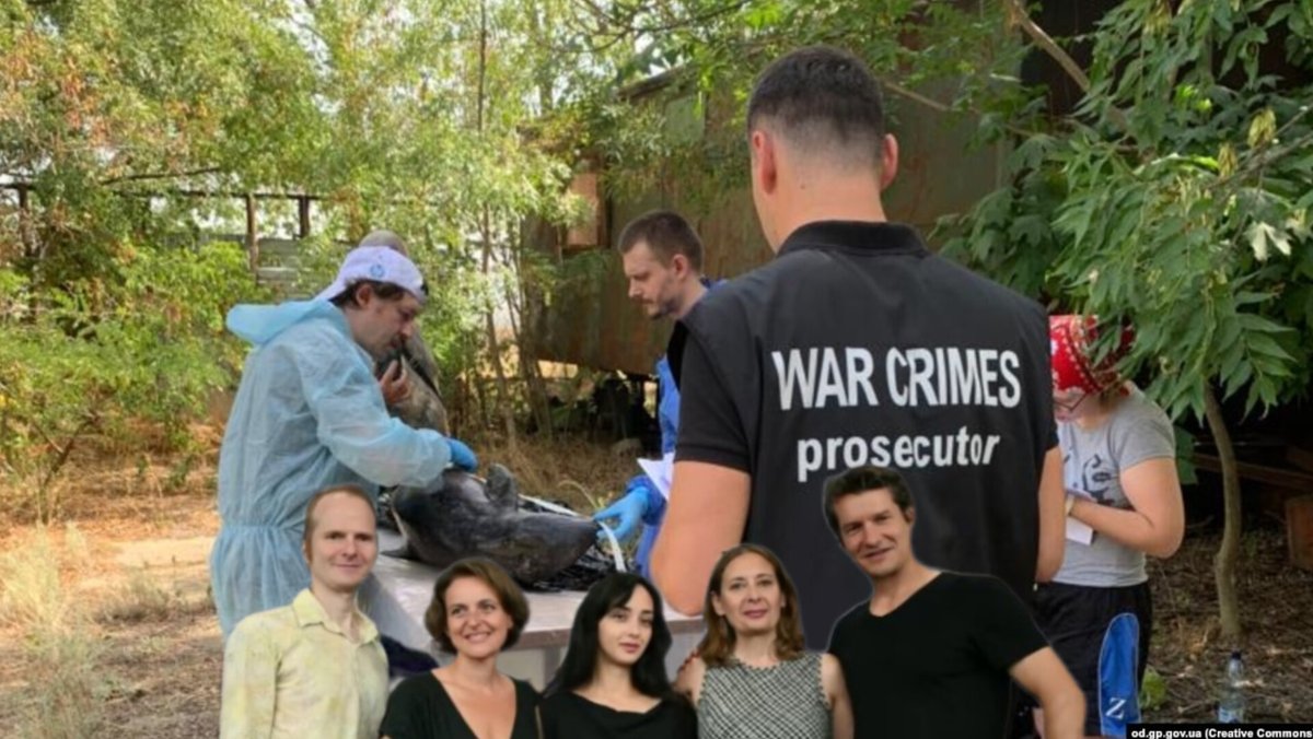 "I didn't see russians committing war crimes."

#stoprussianpropaganda #TIFF2024