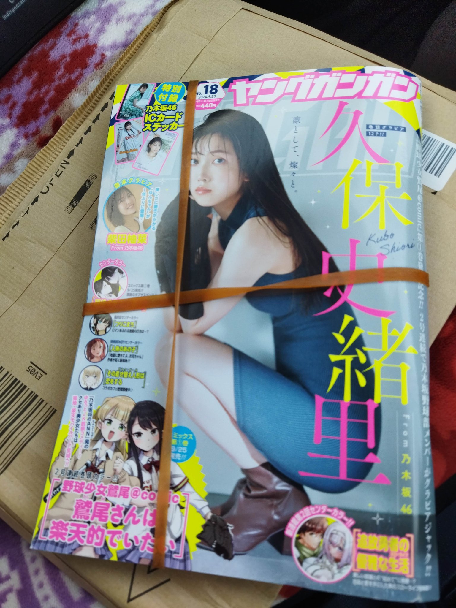 【9月新刊】鷲尾さんは楽天的でいたい 1 裏でやんちゃな剛院田さん 2 Amazon.co.jp: 野球少女鷲尾@comic 鷲尾さんは楽天的でいたい(2