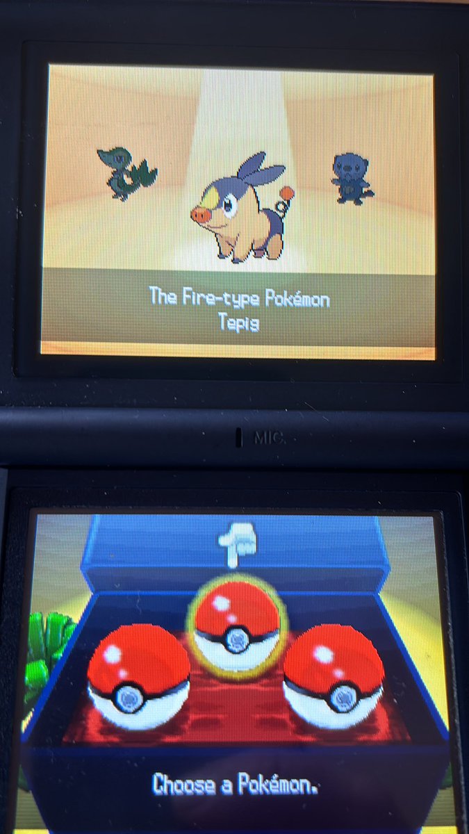 SeakingStu's tweet image. Let’s see how long this takes us then.. #ShinyPokemon #ShinyStarter #Tepig #shiny